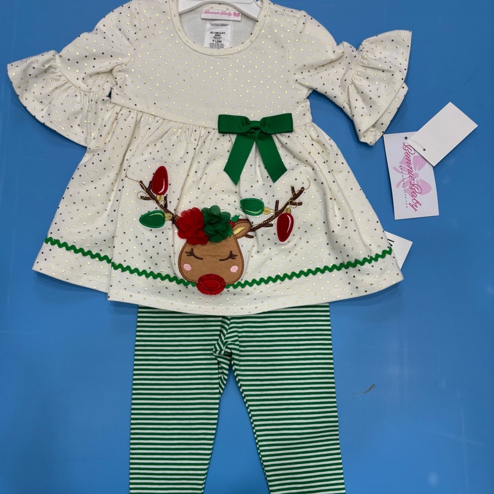 NWT Festive Reindeer Kids Costume Set - Green and White